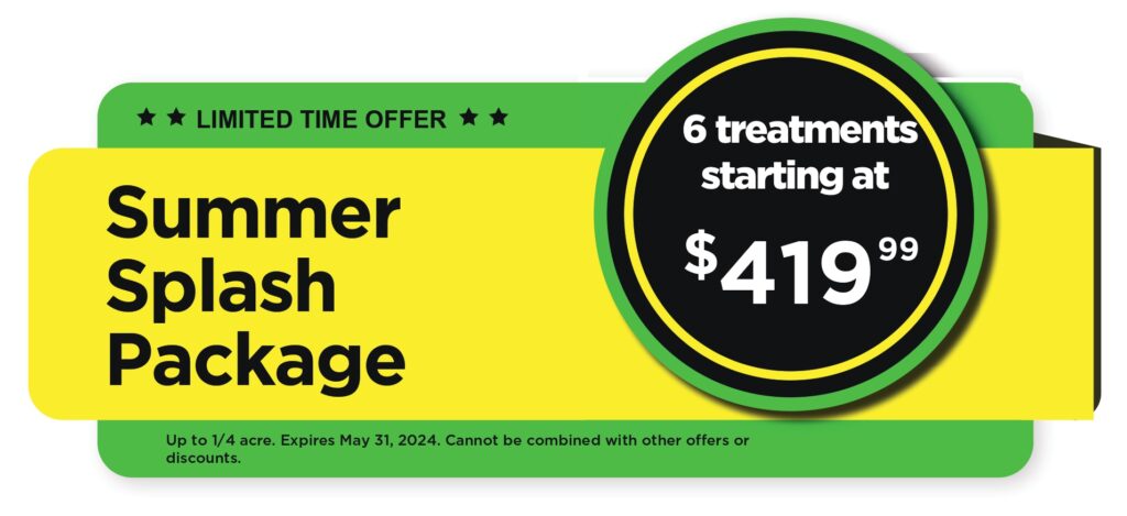 Summer Splash Package – Receive Six treatments for $419.99.