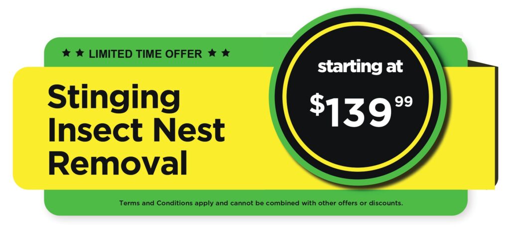 Stinging Insect Nest Removal – Mosquito Joe Stinging Insect Nest Removal starting at $139.99.